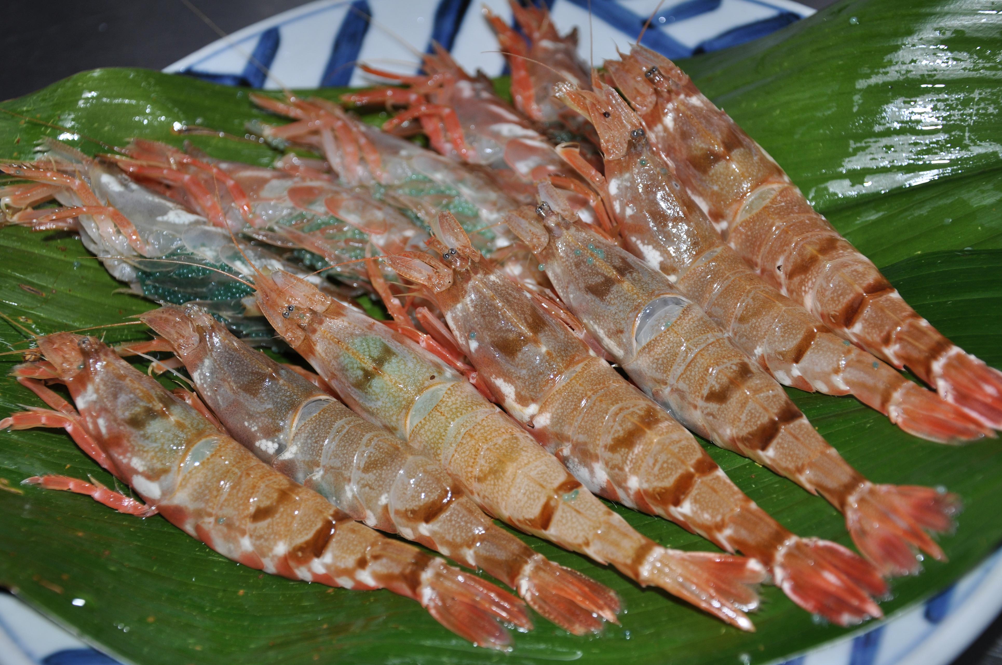 春夏秋冬　旬の食材を中心に