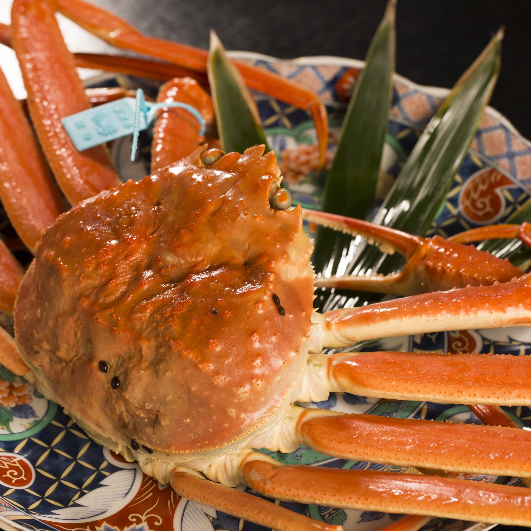 ... <13>白子天ぷら・焼き