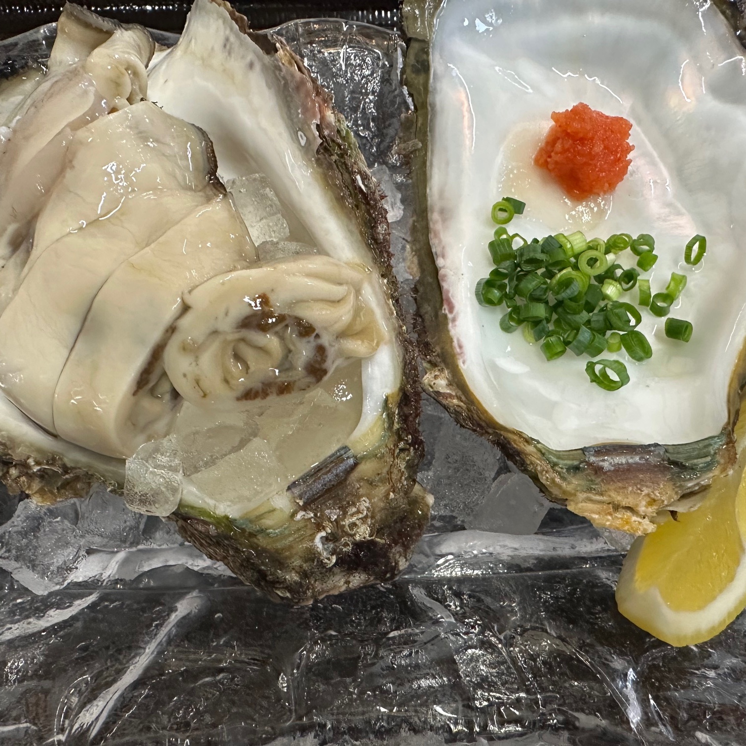 <01>能登天然岩牡蠣