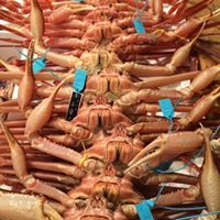 4月のお休みは、22日、30日(月)です。29日(日)は営業 5月のお休みは、6... 4月5月のお休みと只今のお勧め