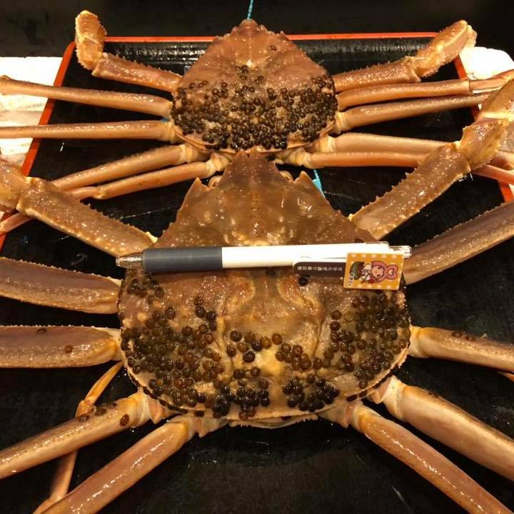 石川県産毛ガニ・白ガスエビ最後ですよ~ 6月も最後の日になりました。 おかげさま... おかげさまで、味処髙﨑も48年目を迎えました。