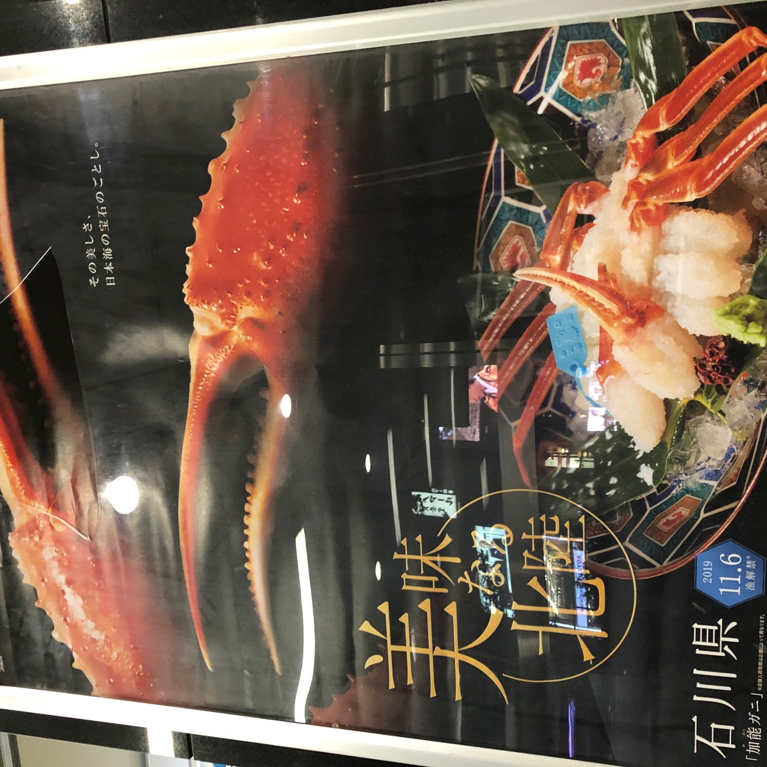 いよいよ加能ガニ漁が終了しました 長いようで、あっとゆうまに過ぎた 11/6解禁... 加能ガニは3月末まで