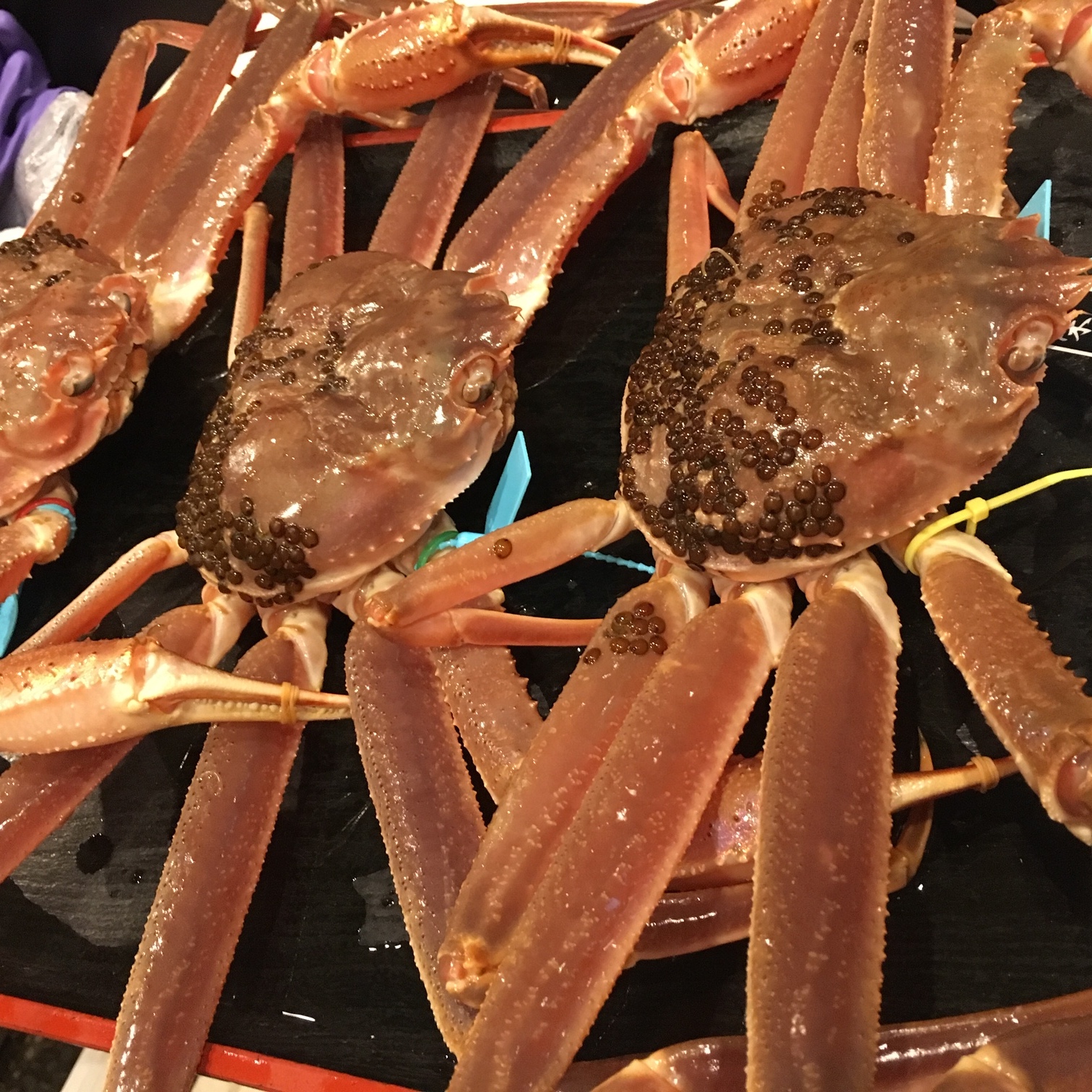 3月のお休みは、17日、18日、22日、26日、29日、30日です。 当店もコロ... 3月の営業と加能ガニについて